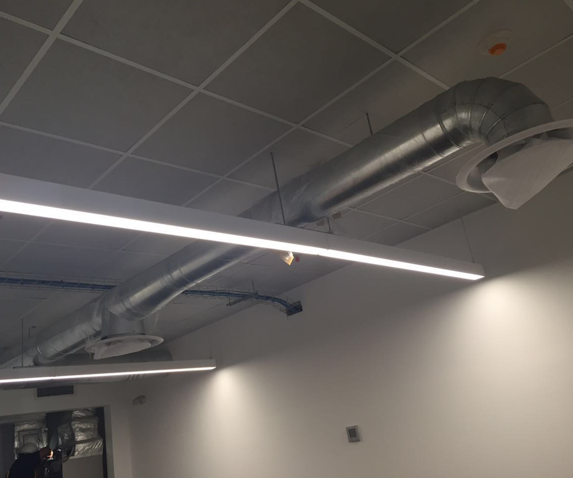 oficina cedi fifco